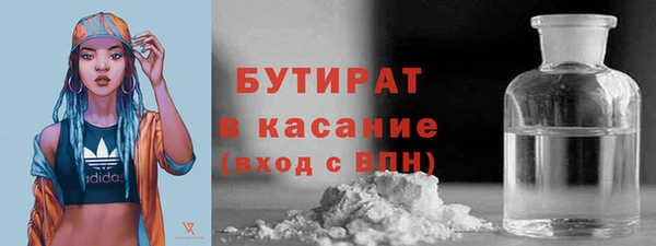 индика Алзамай