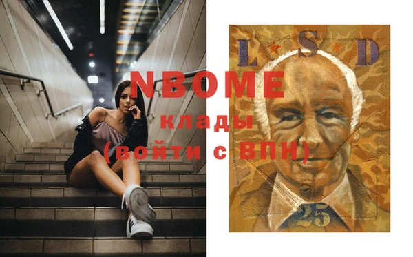индика Алзамай
