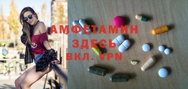 индика Алзамай